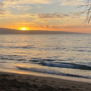 Meet your Posher, Addison